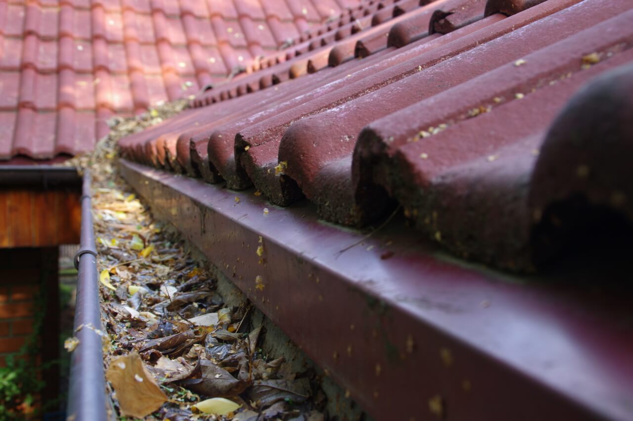 clean your gutters