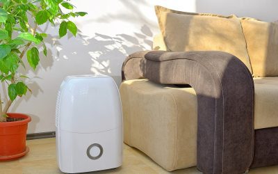 5 Tips for Air Purification in the Home