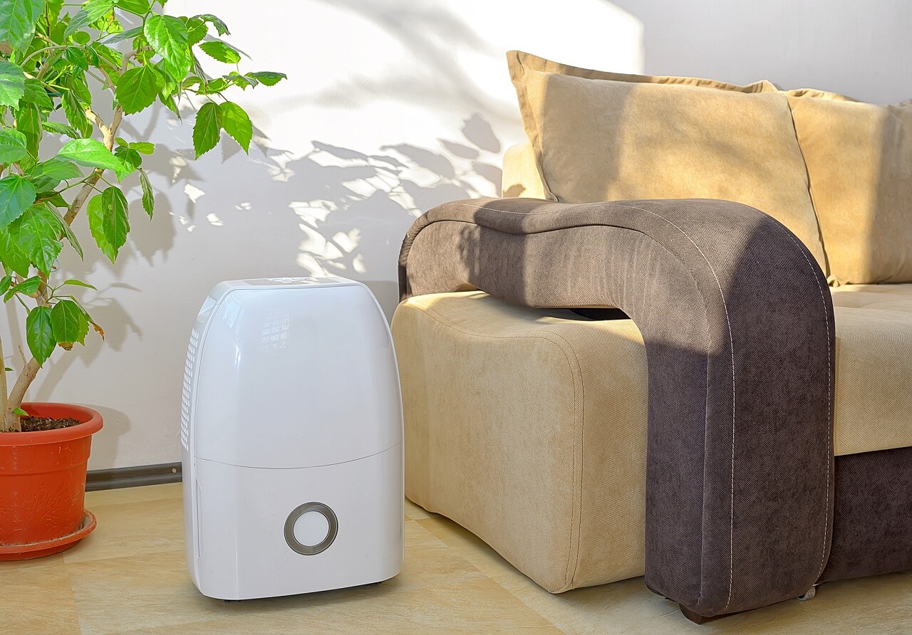air purification in the home