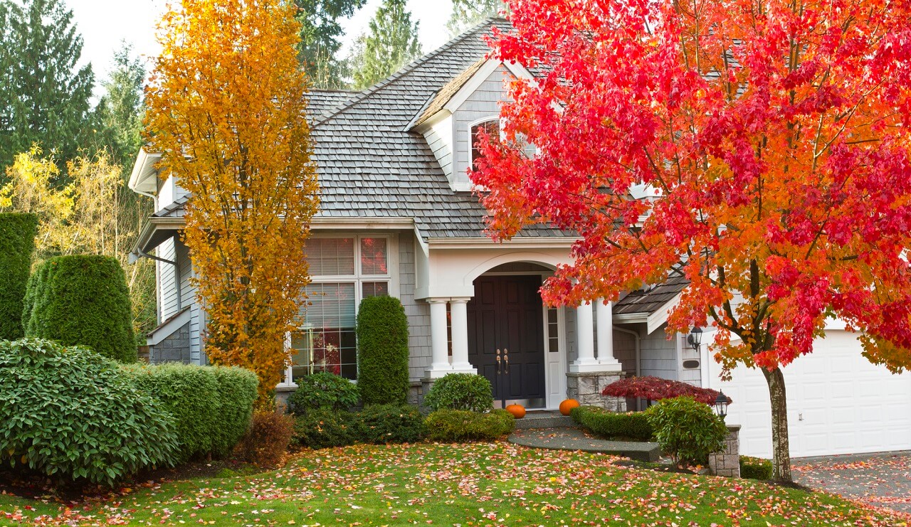 fall curb appeal